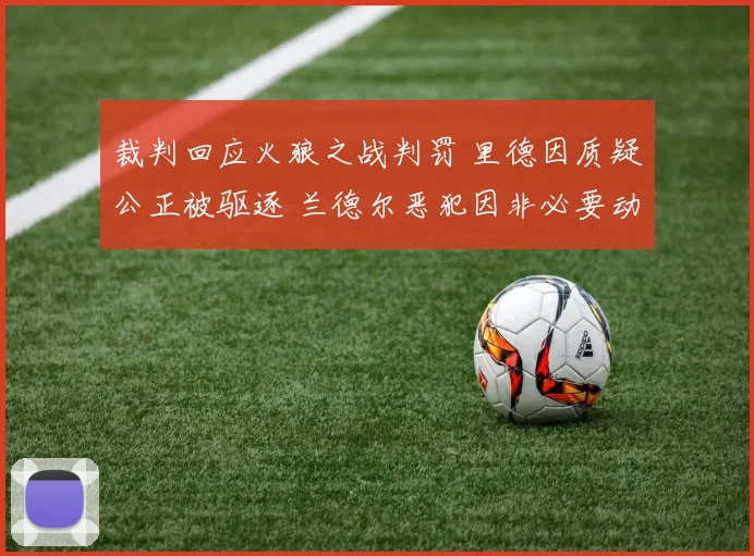 裁判回应火狼之战判罚 里德因质疑公正被驱逐 兰德尔恶犯因非必要动作判罚