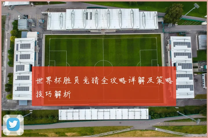世界杯胜负竞猜全攻略详解及策略技巧解析