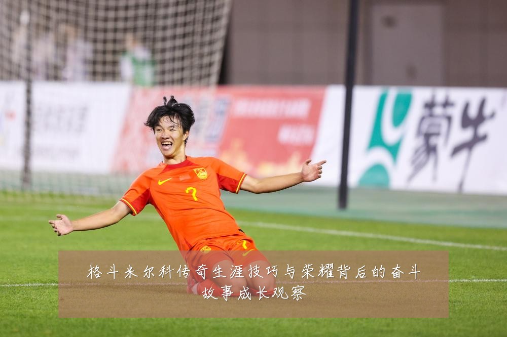 格斗米尔科传奇生涯技巧与荣耀背后的奋斗故事成长观察
