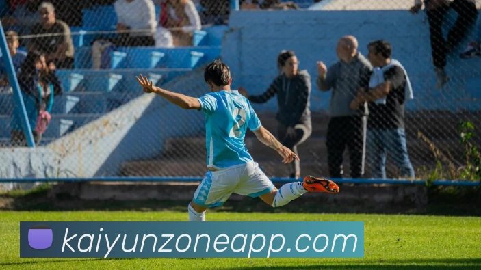 开云平台展示图